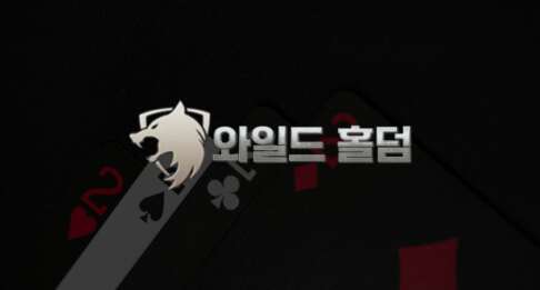 와일드홀덤, 카지노 비즈니스의 혁신 파트너