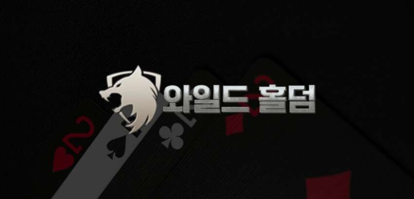 와일드홀덤, 카지노 비즈니스의 혁신 파트너