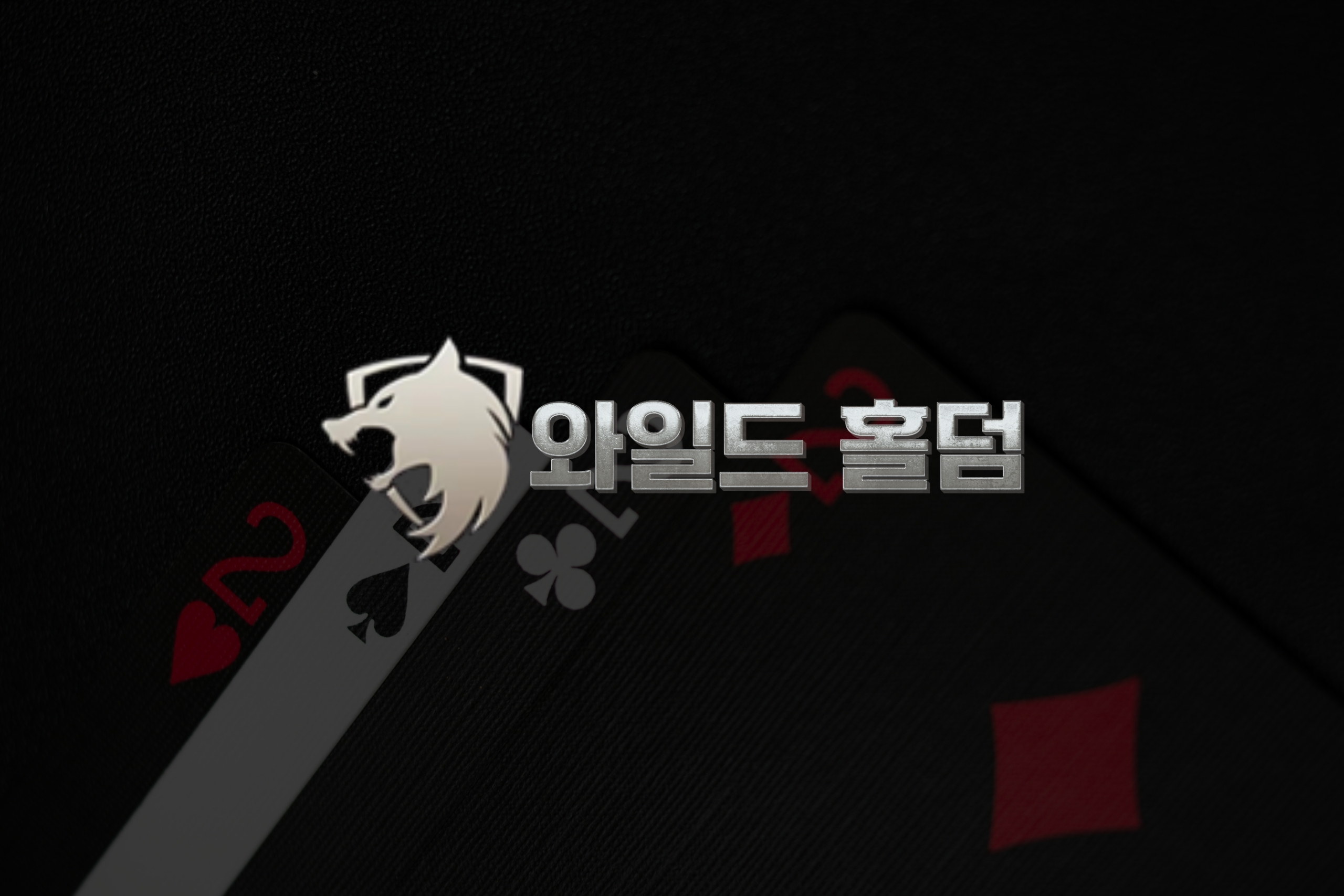 와일드홀덤, 카지노 비즈니스의 혁신 파트너